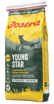 Picture of Josera YoungStar