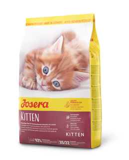 Picture of 6 x 2kg Kitten