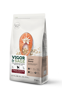 Picture of 2kg Vigor & Sage Lily Root Beauty Regular Adult Dog