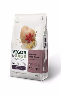 Picture of 10kg Vigor & Sage Wolfberry Well-Being Kitten