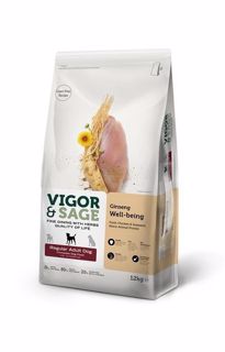 Picture of 12kg Vigor & Sage Ginseng Well-Being Regular Adult Dog