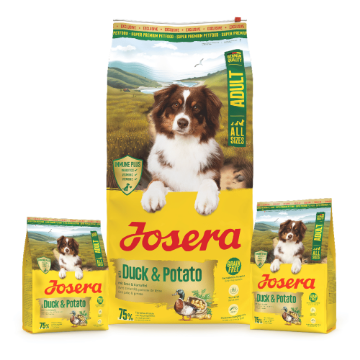 Josera Adult Duck & Potato for medium to large breed dogs needing a grain-free diet with a single source of meat protein Josera Adult Duck & Potato for medium to large breed dogs needing a grain-free diet with a single source of meat protein in 12.5kg, 3kg and 0.9kg bags