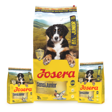 Josera Junior SensiJunior  for active puppies and junior dogs for healthy digestion and lots of energy Josera Junior SensiJunior  for active puppies and junior dogs for healthy digestion and lots of energy in 12.5kg, 3kg and 0.9kg bags