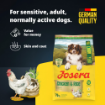 Josera All Sizes Adult Chicken & Rice with lots of meat and Immune Plus for all dog sizes product features