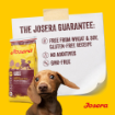 Josera Junior Kids complete gluten-free food with salmon oil for larger puppies and junior dogs no wheat no soy