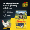 Josera Junior Kids  complete gluten-free food with salmon oil for larger puppies and junior dogs product benefits
