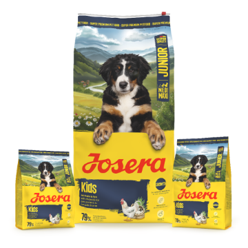 Josera Junior Kids  complete gluten-free food with salmon oil for larger puppies and junior dogs Josera Junior Kids  complete gluten-free food with salmon oil for larger puppies and junior dogs in 12.5kg, 3kg and 0.9kg bags
