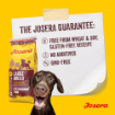 Josera Medi/Maxi Adult Chicken & Rice with lots of meat and large kibble for larger dog sizes no wheat no soy
