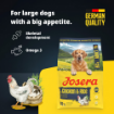 Josera Medi/Maxi Adult Chicken & Rice with lots of meat and large kibble for larger dog sizes product benefits