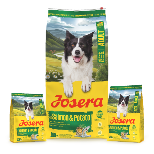Josera All Sizes Adult Salmon & Potato grain-free single meat protein complete food for small medium and large dogs 12.5kg, 3kg and 0.9kg bags