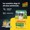 Josera All Sizes Adult Salmon & Potato grain-free single meat protein complete food for small medium and large dogs product benefits