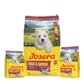 Josera Mini Junior Duck & Salmon gluten free complete food for small breed puppies and adults Josera Mini Junior Duck & Salmon gluten free complete food for small breed puppies and adults 10kg, 3kg and 0.9kg bags