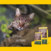 Josera NatureCat grain free complete cat food with extra poultry and salmon lifestyle