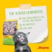 Josera SensiCat complete cat food highly digestible for sensitive cats no wheat no soy guarantee