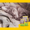 Josera SensiCat complete cat food highly digestible for sensitive cats lifestyle